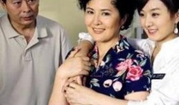 娱乐圈父母打架爆料,真相揭露与家庭风波