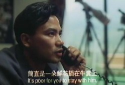 挡不住风情在线观看,一场跨越时空的浪漫邂逅