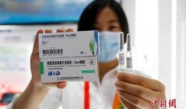 爆料新冠疫苗事件视频,真相与争议并存